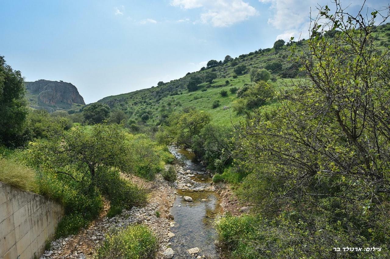 Mul Kinneret Livnim Dış mekan fotoğraf